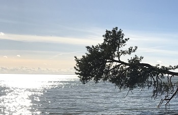 Поэзия Балтийского моря