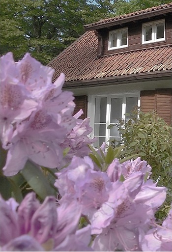 "Женский голос русской поэзии"